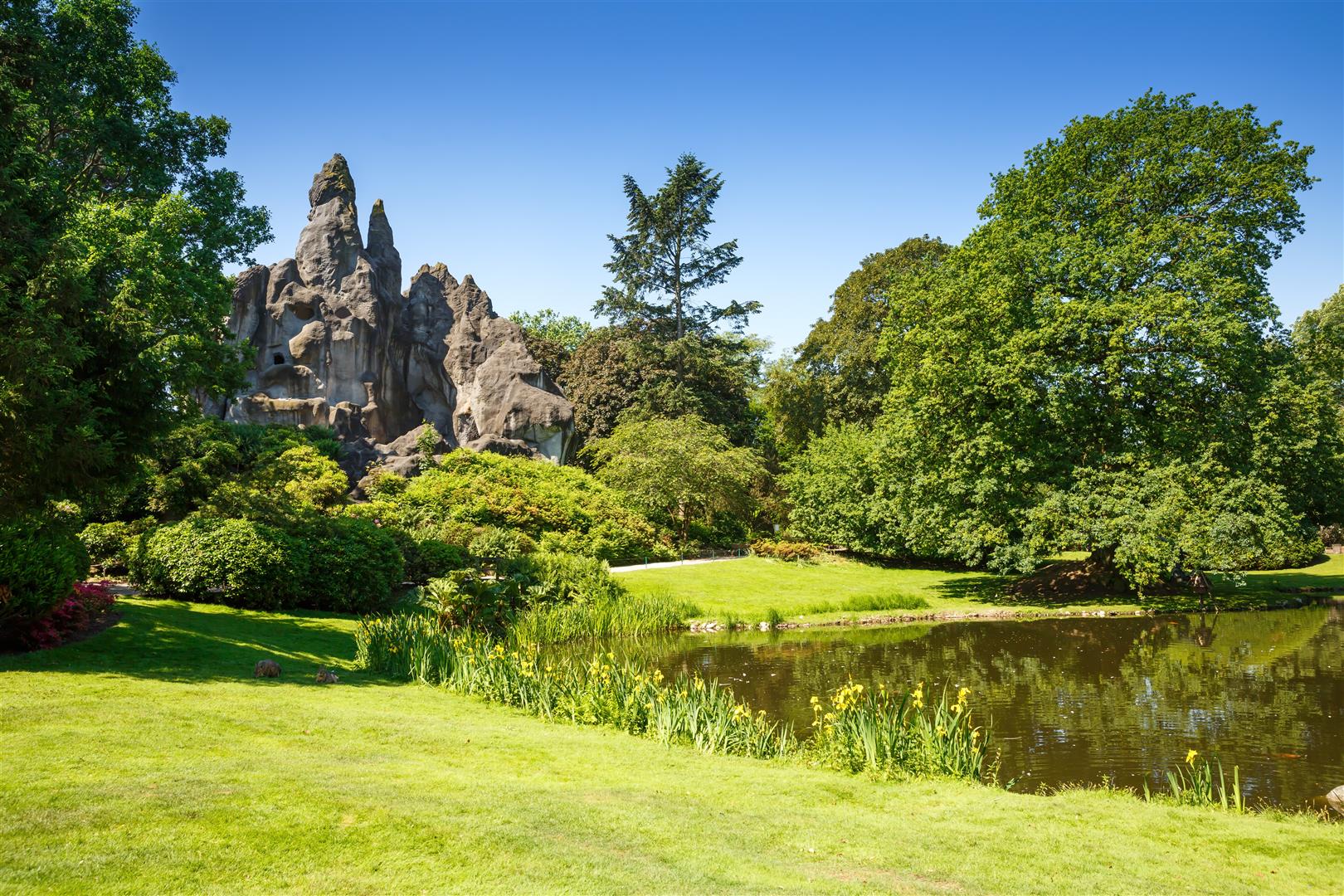 Shutter Stock