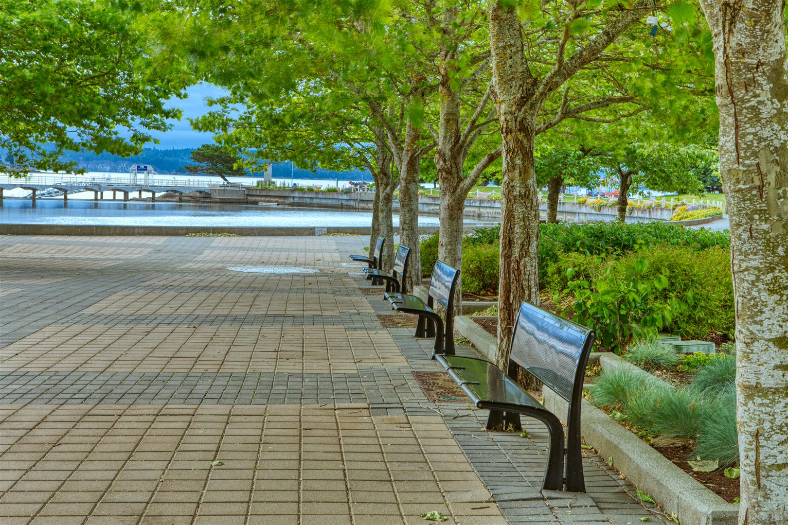 Shutter Stock