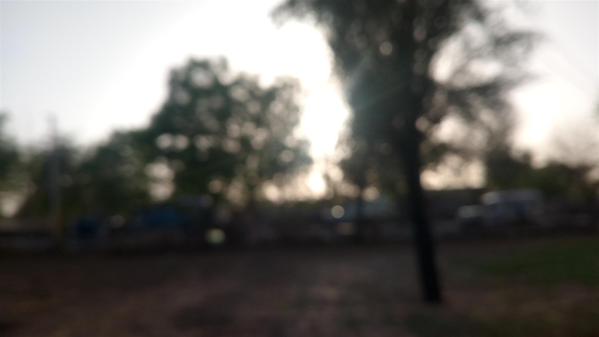 Shutter Stock