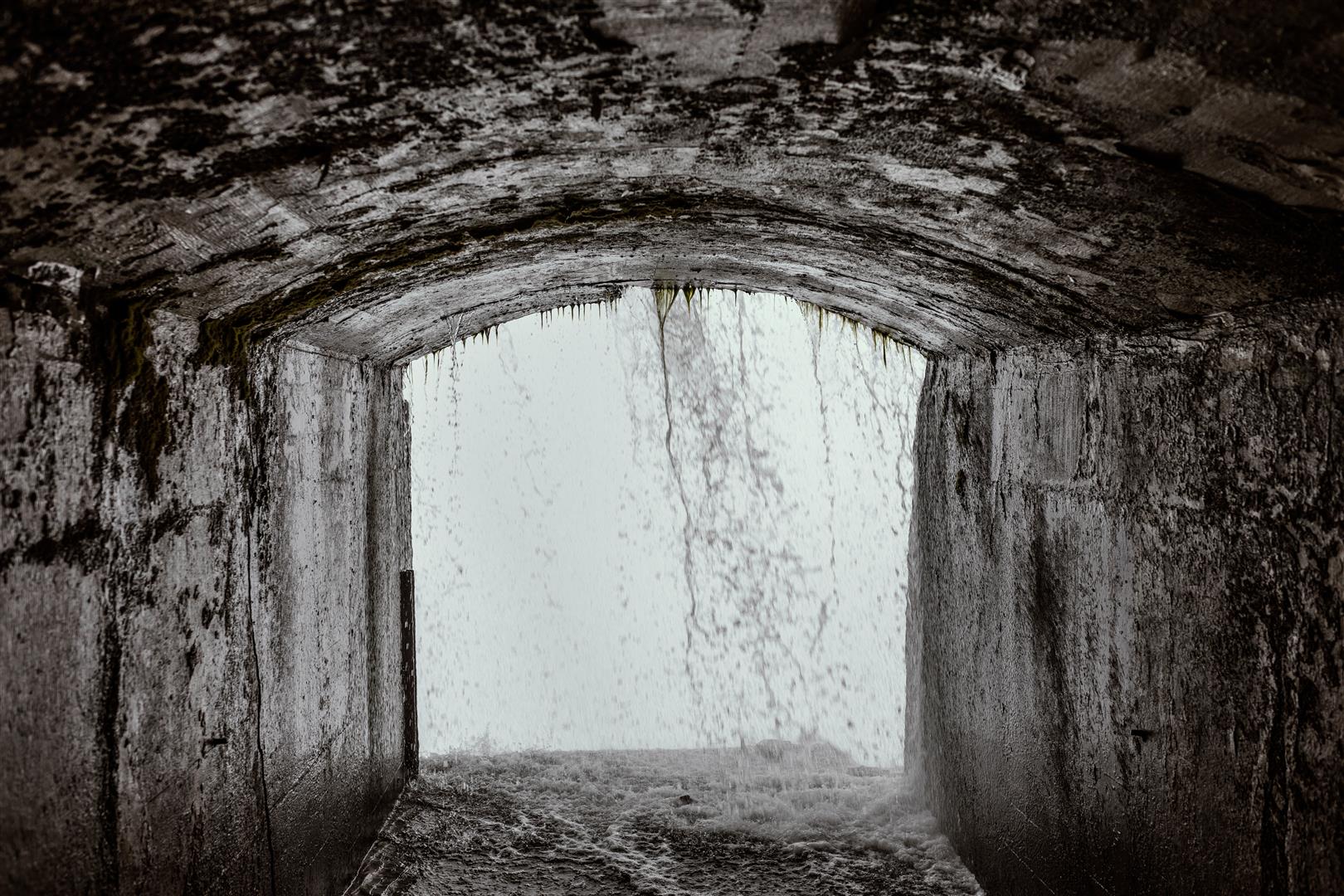 Shutter Stock