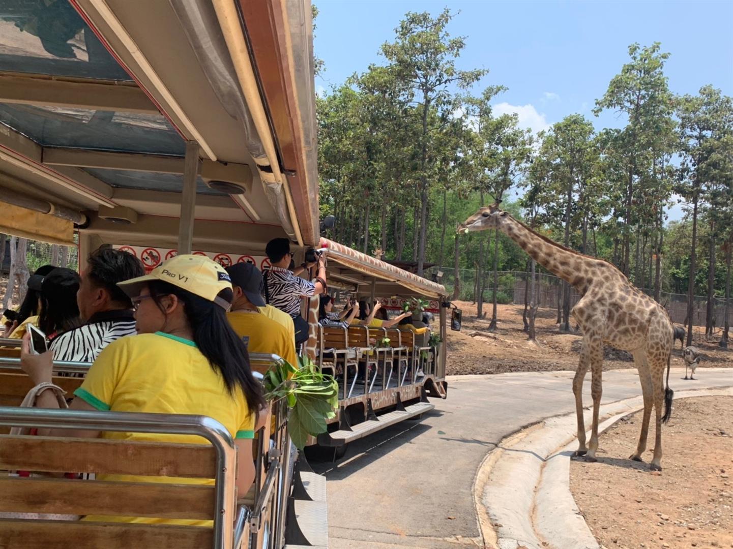 Chiang Mai Night Safari