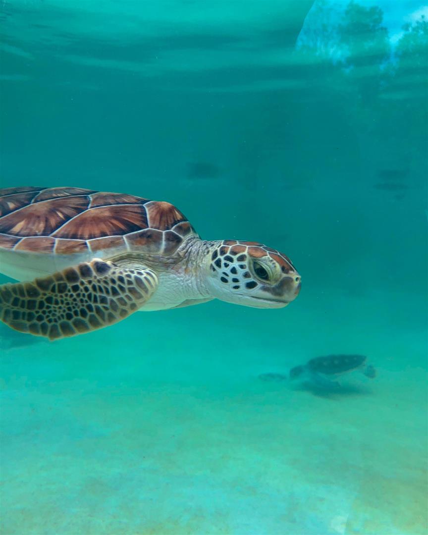 Xcaret Park