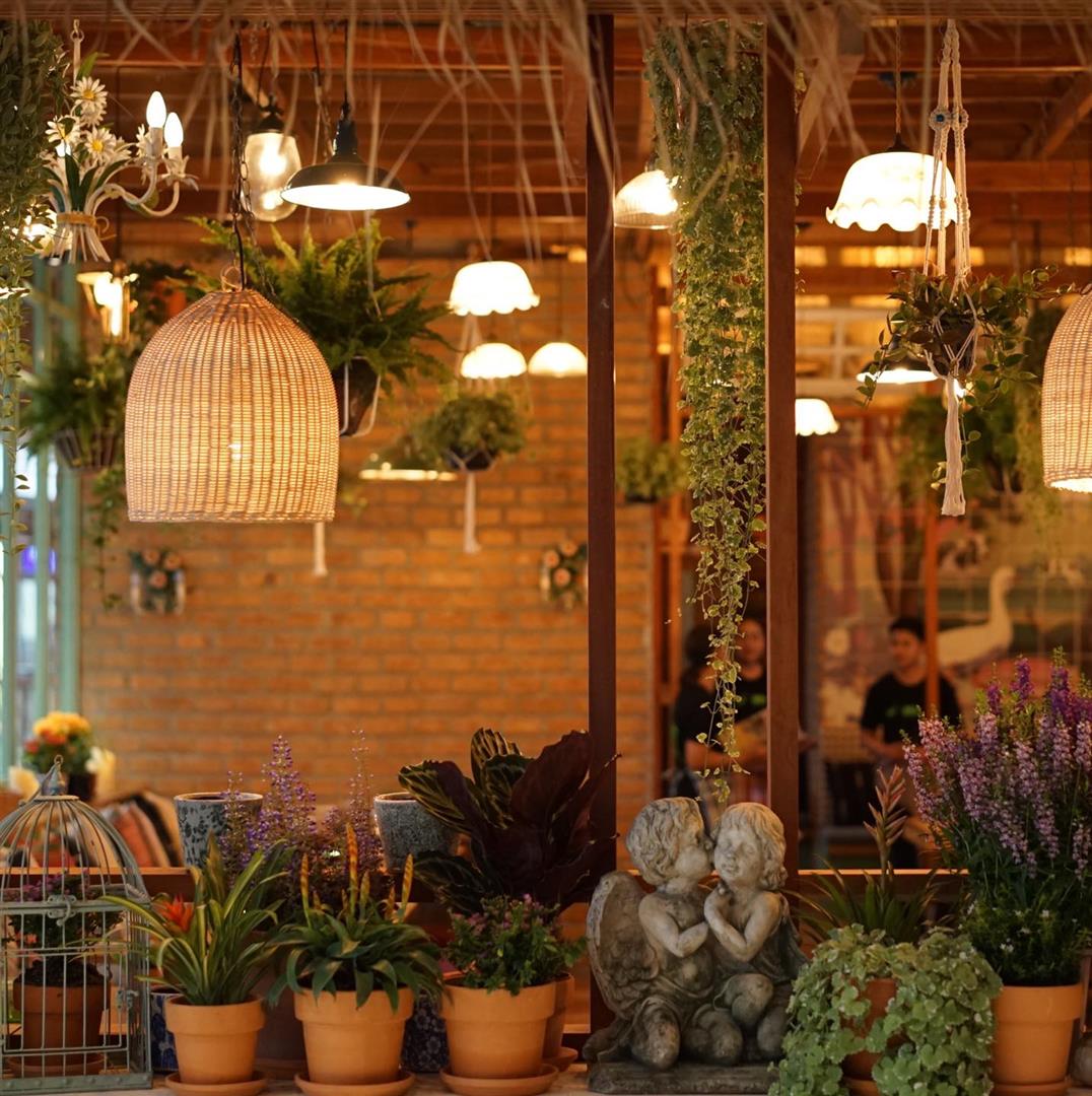 Ginger Farm Kitchen