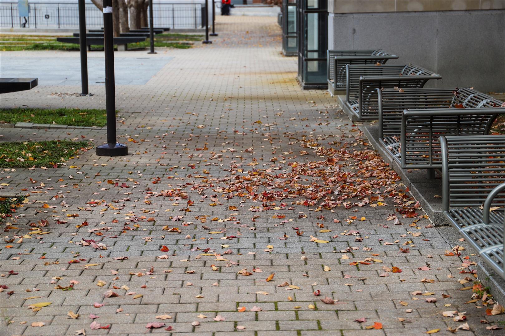 Shutter Stock