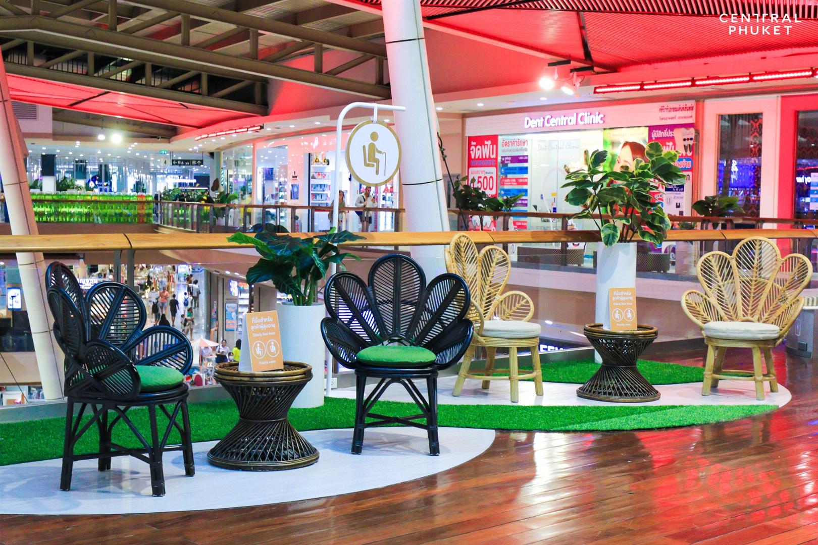 Central Phuket Floresta