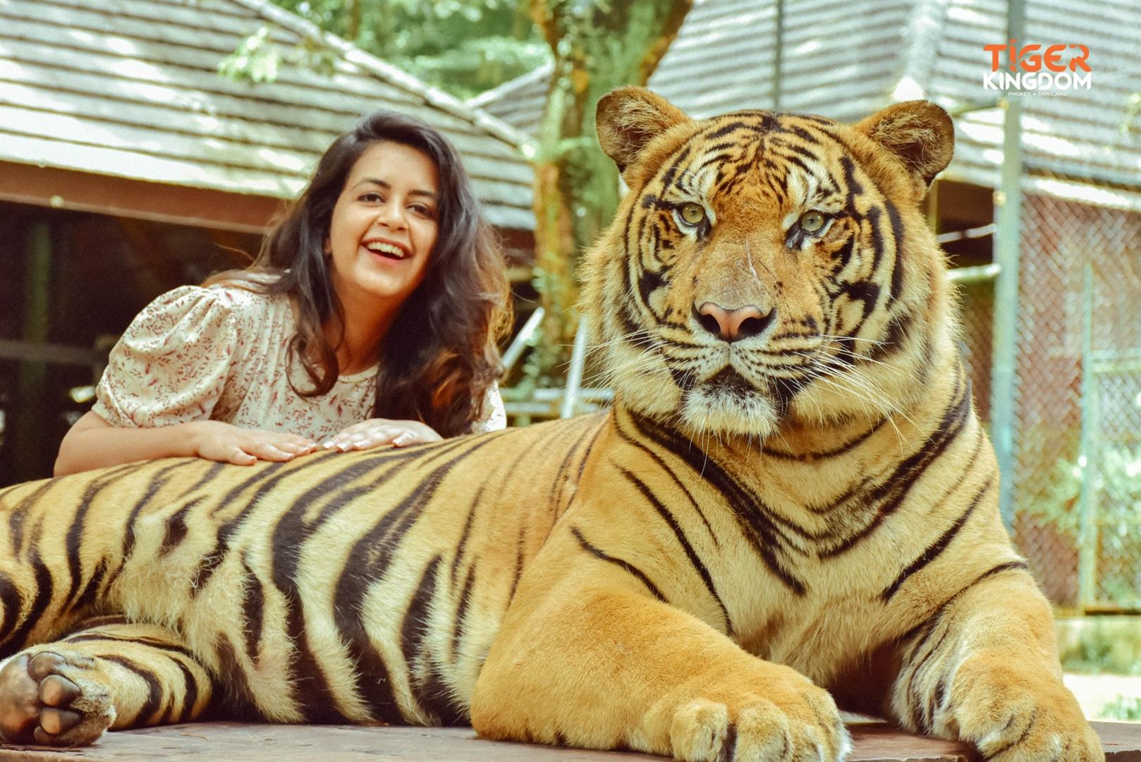 Tiger Kingdom - Phuket