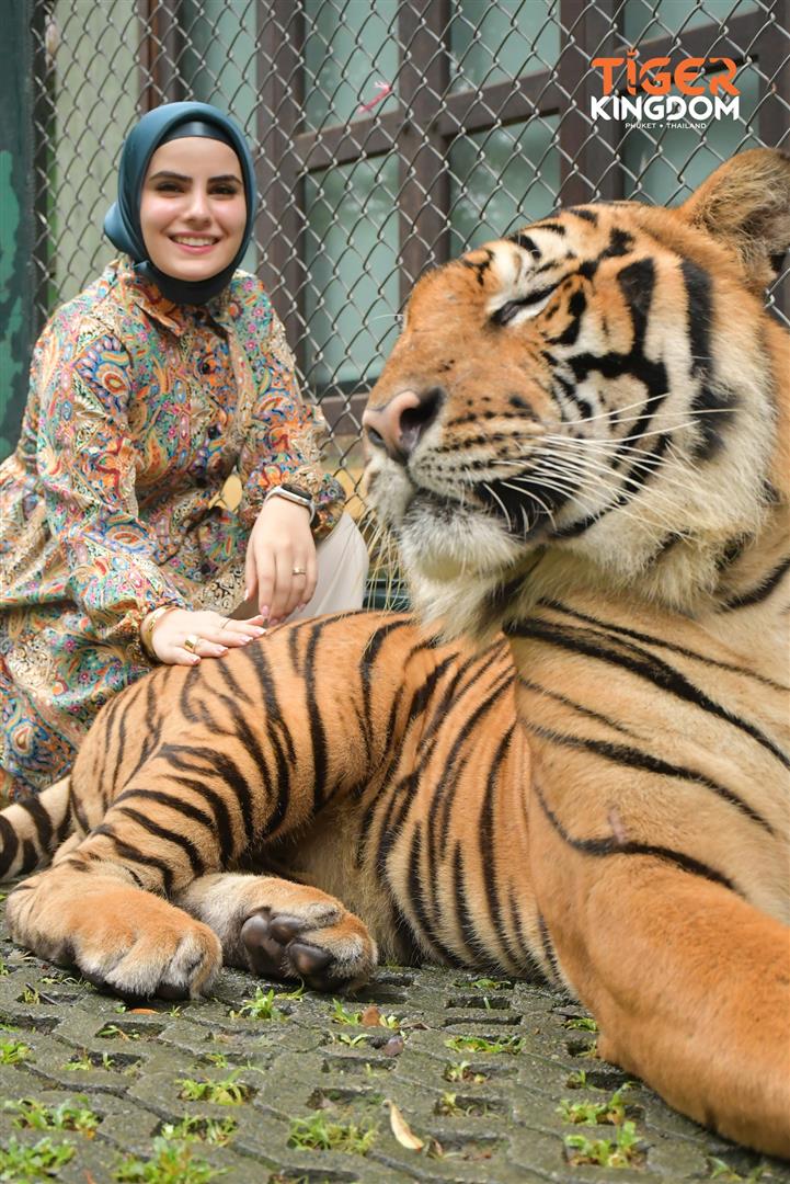 Tiger Kingdom - Phuket