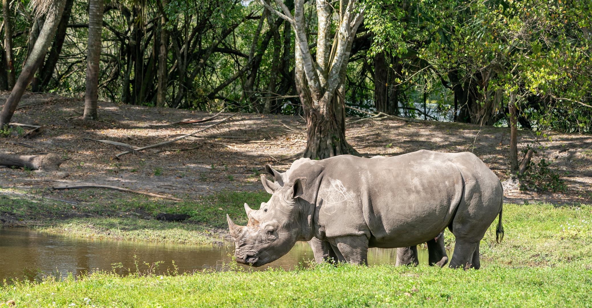 Shutter Stock