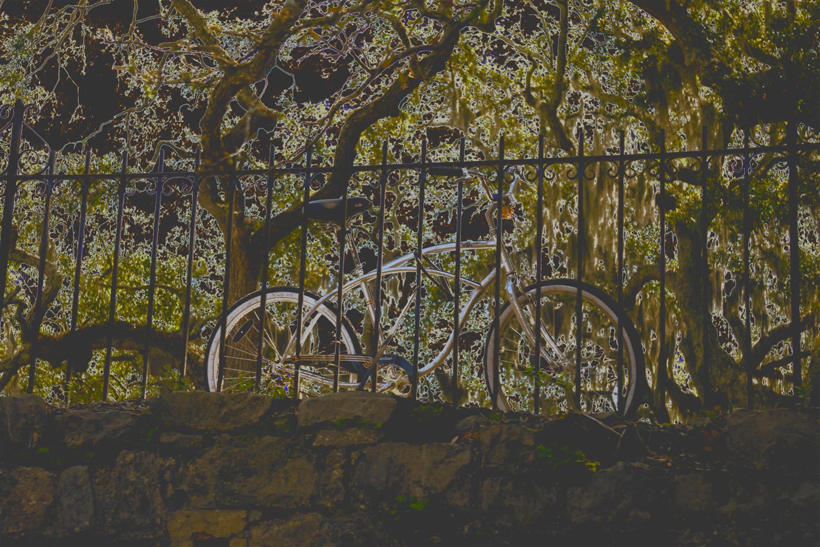 Shutter Stock