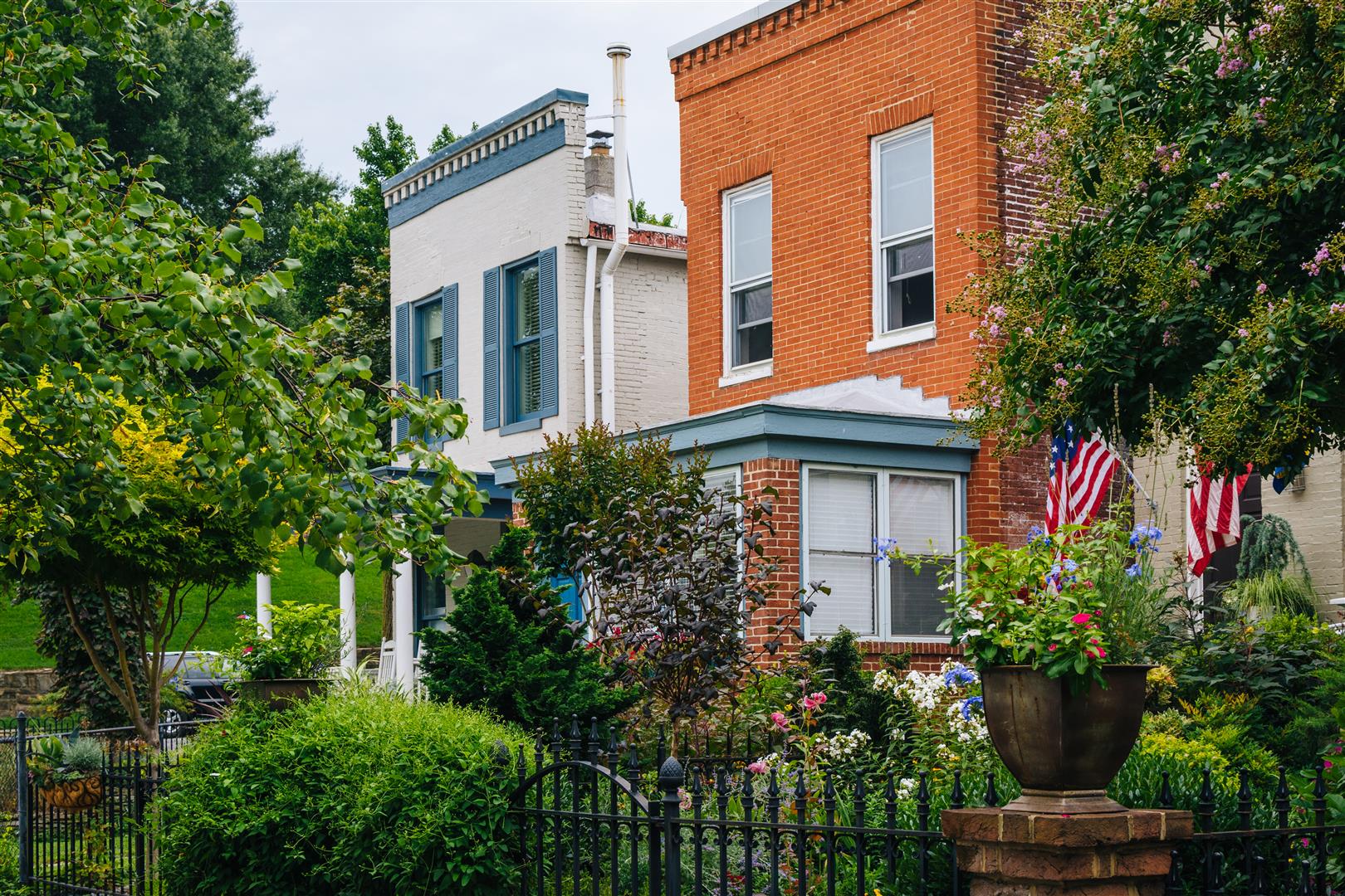 Shutter Stock