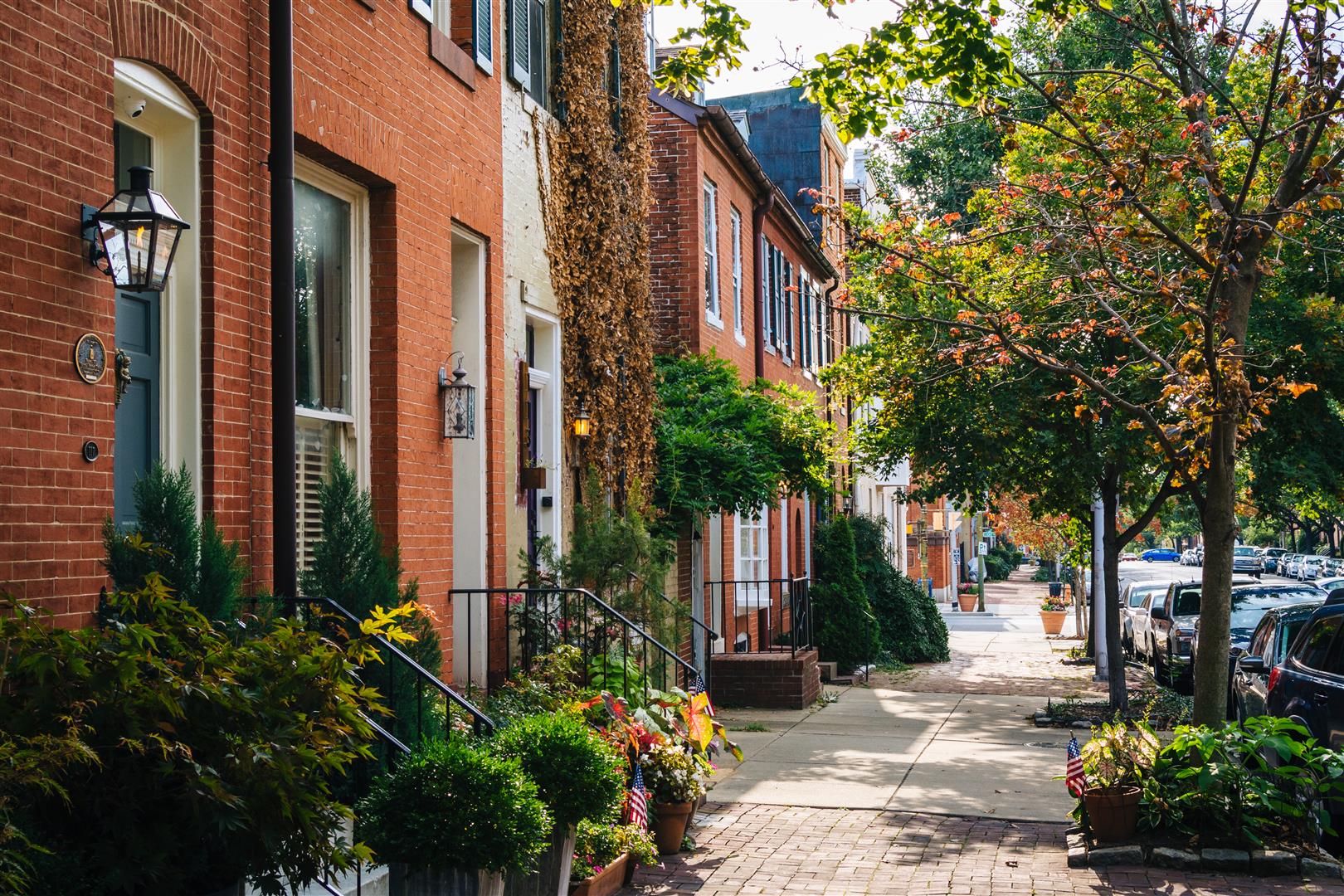 Shutter Stock