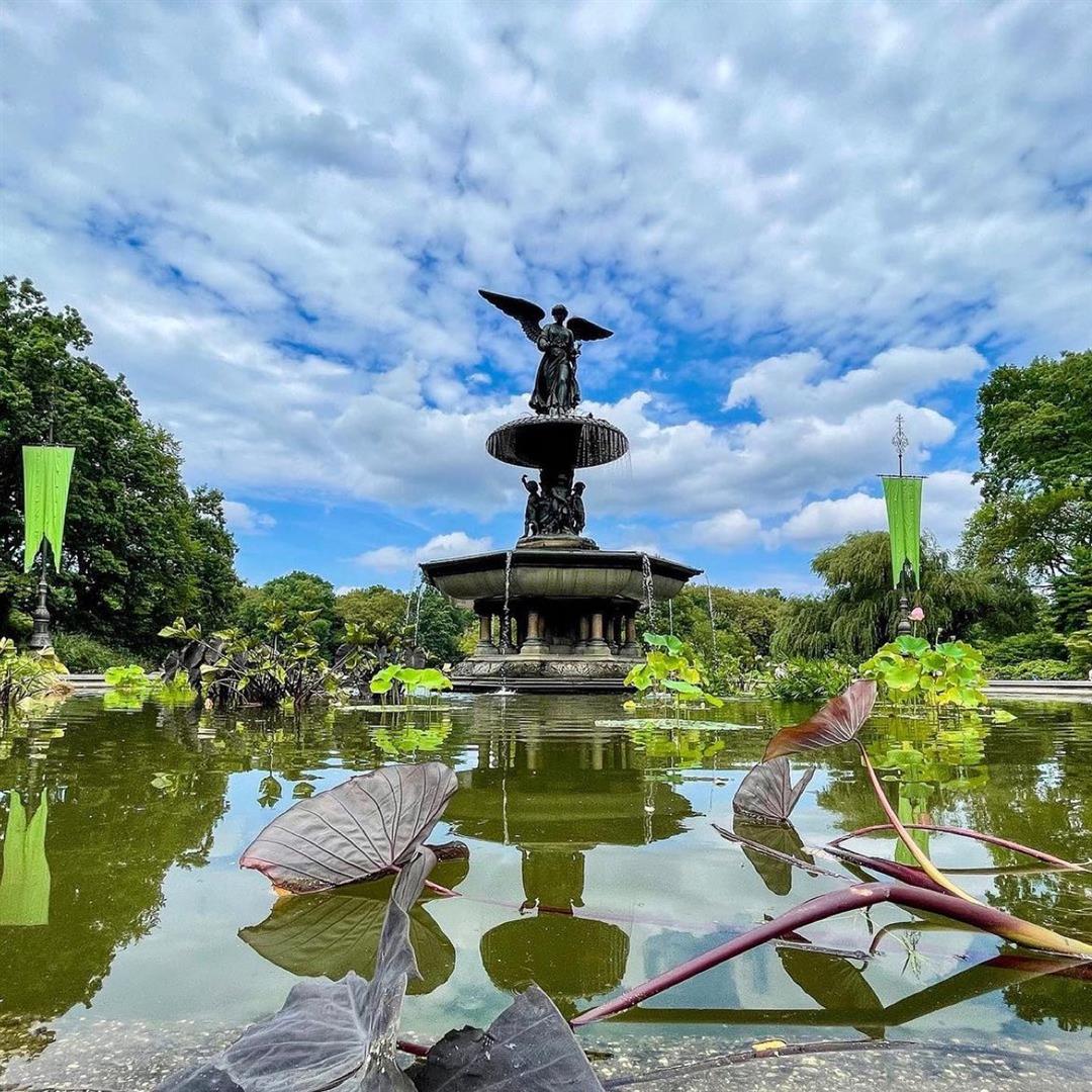 Central Park