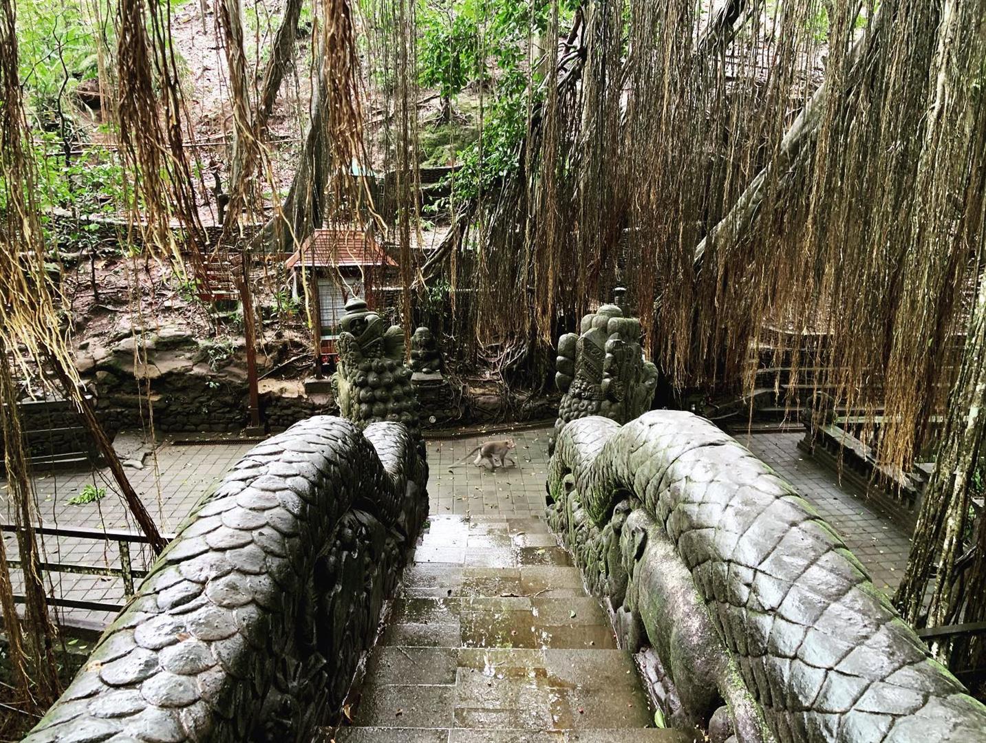 Sacred Monkey Forest Sanctuary