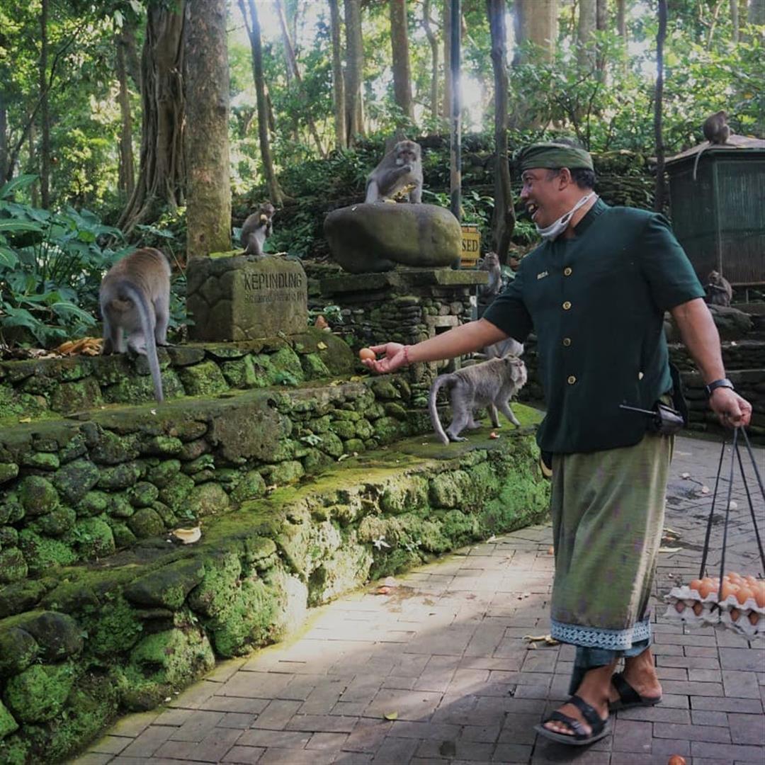 Sacred Monkey Forest Sanctuary