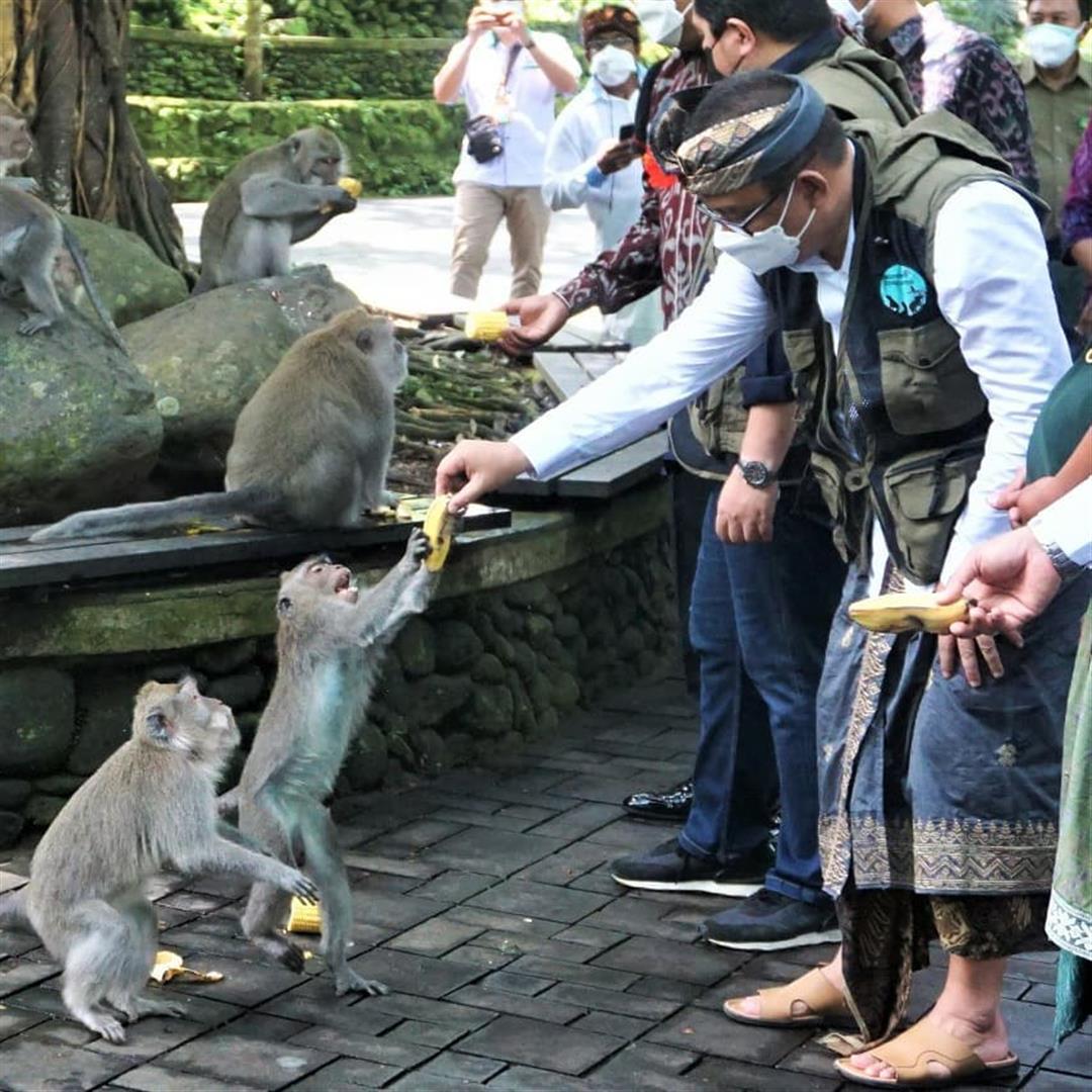 Sacred Monkey Forest Sanctuary