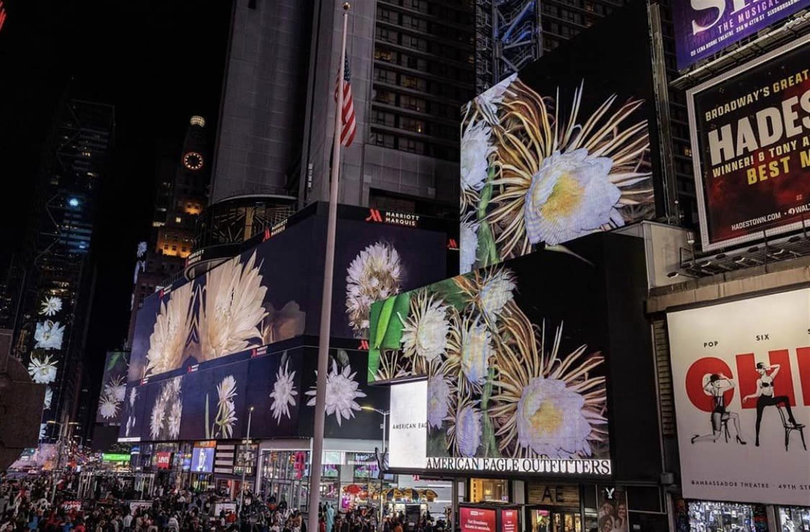 Times Square
