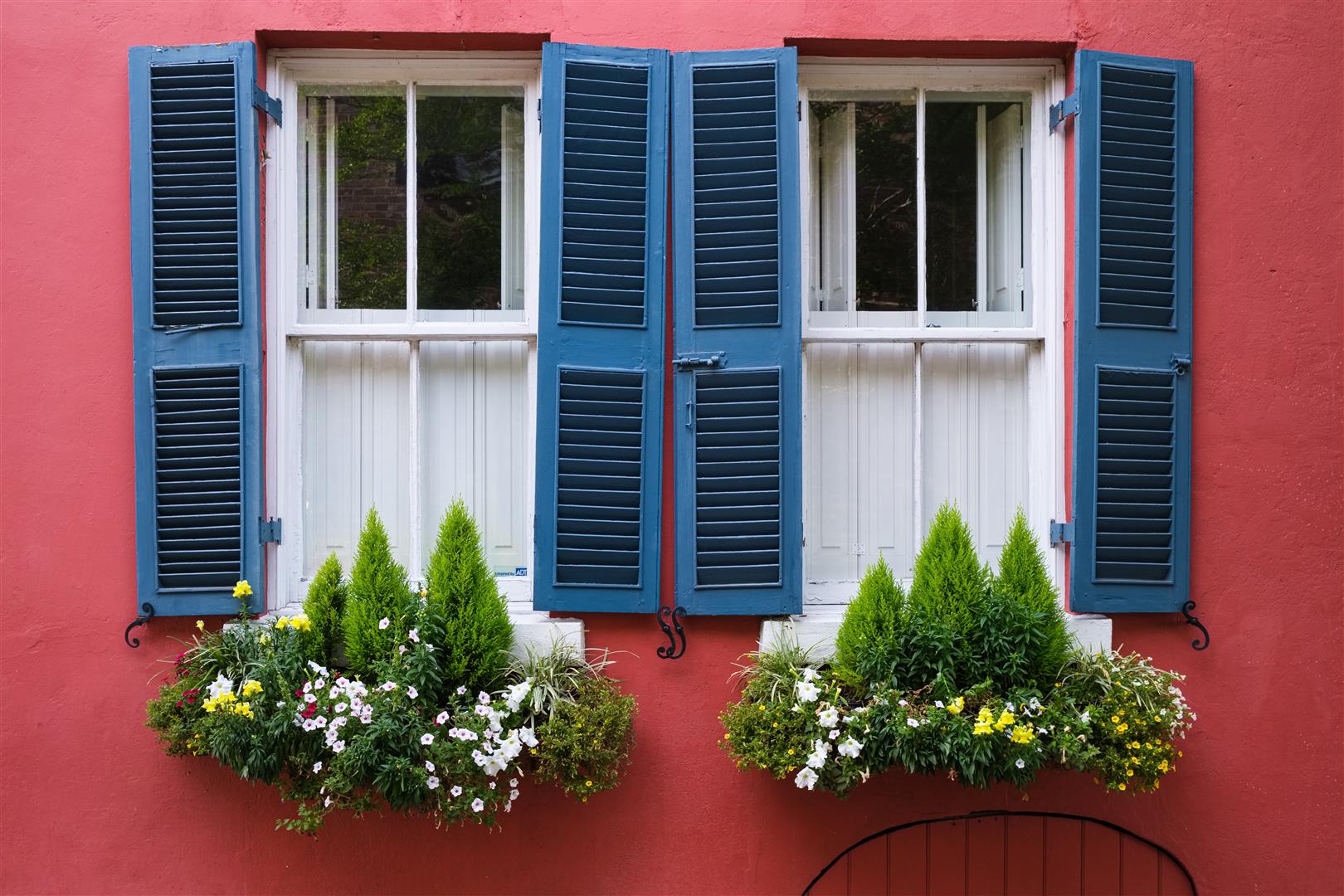 Shutter Stock