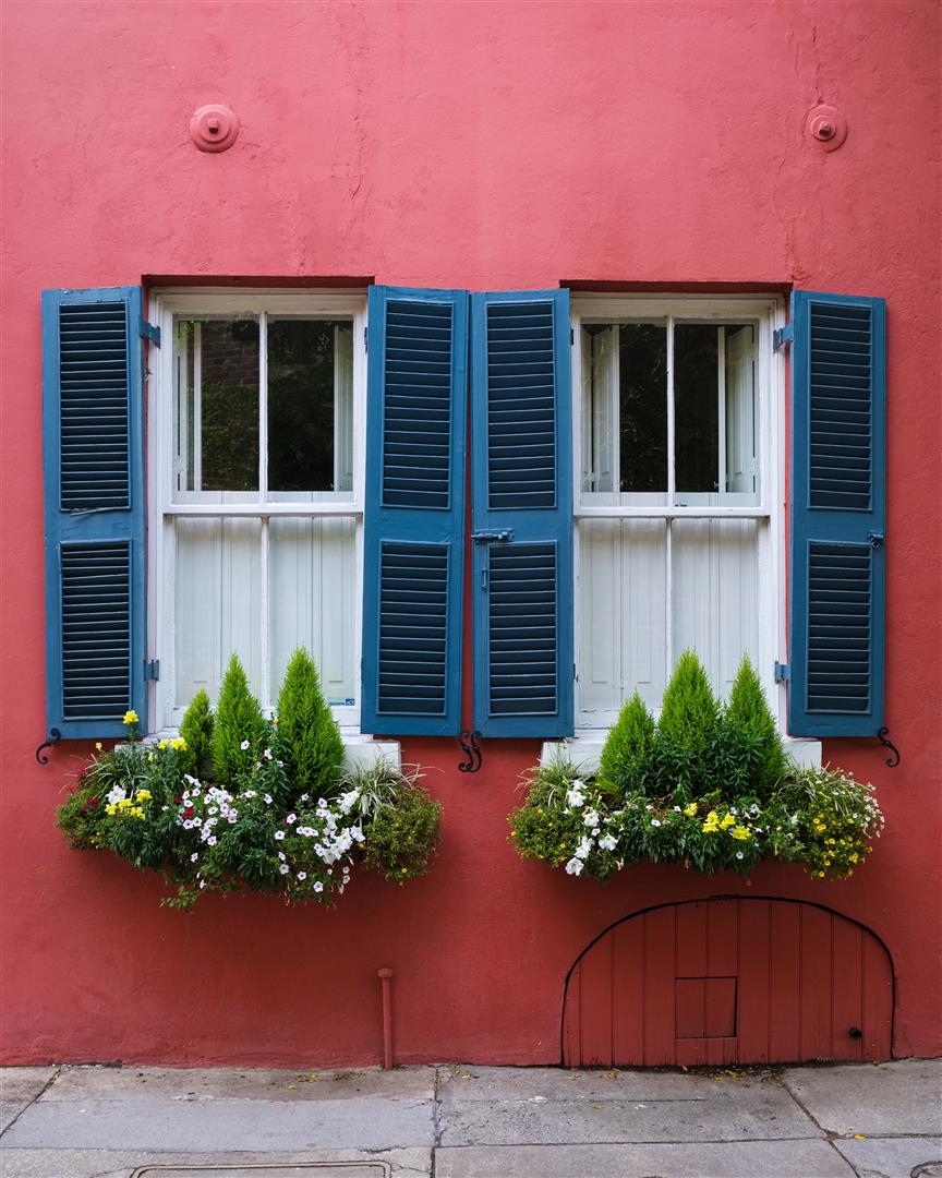 Shutter Stock