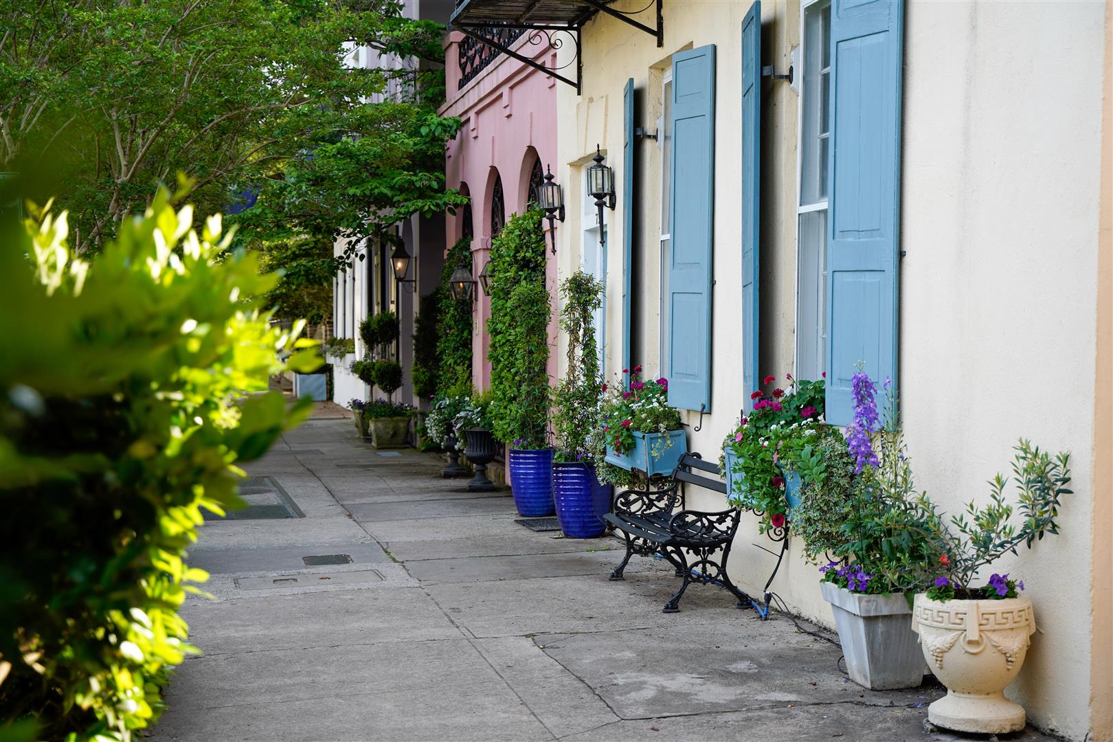 Shutter Stock