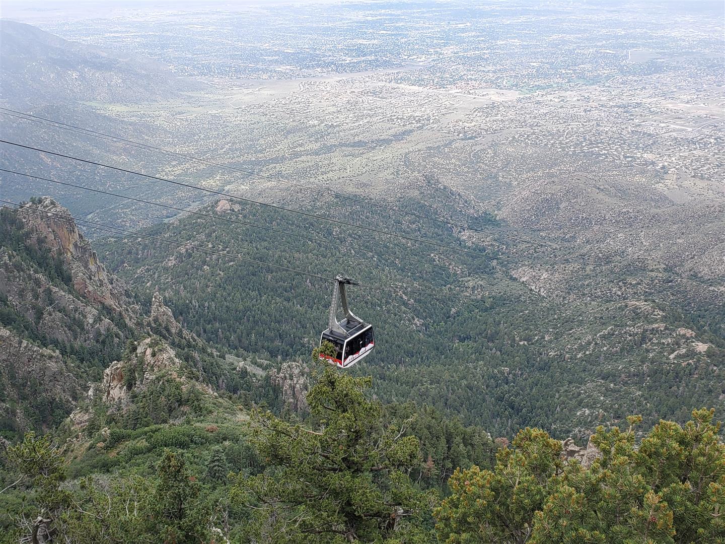 Shutter Stock