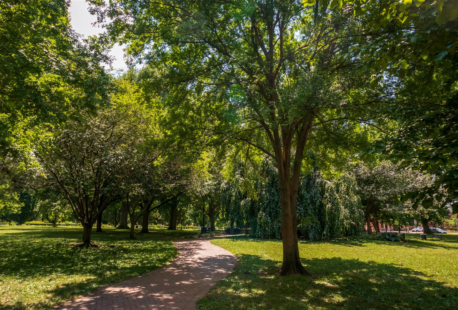 Shutter Stock
