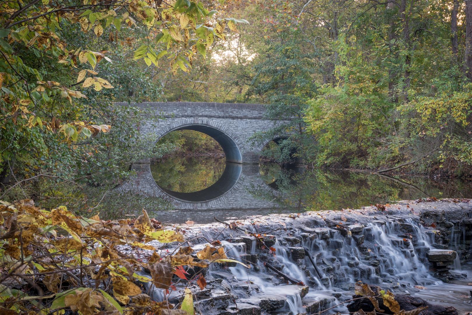 Shutter Stock