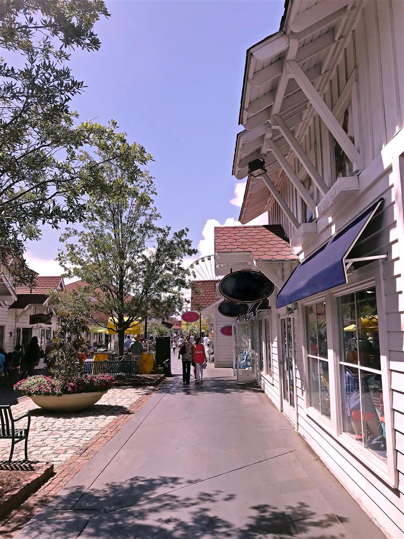 Shutter Stock