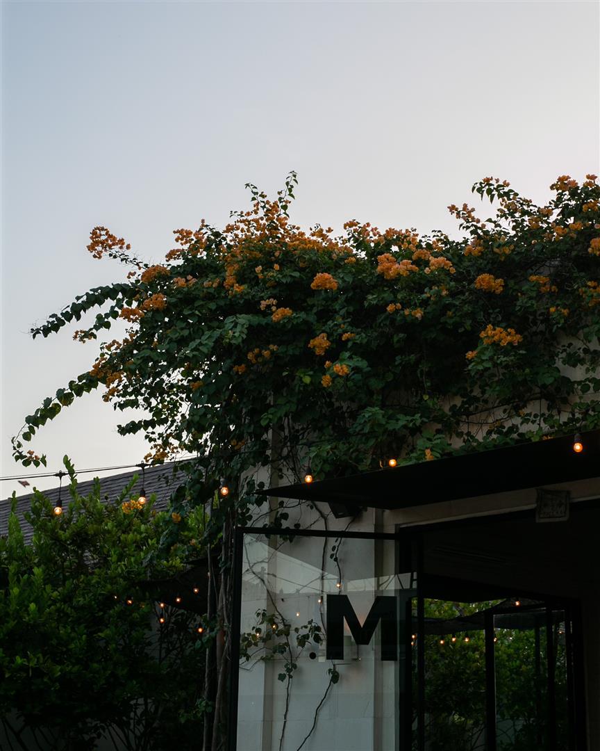 M. MASON Bar | Grill Canggu