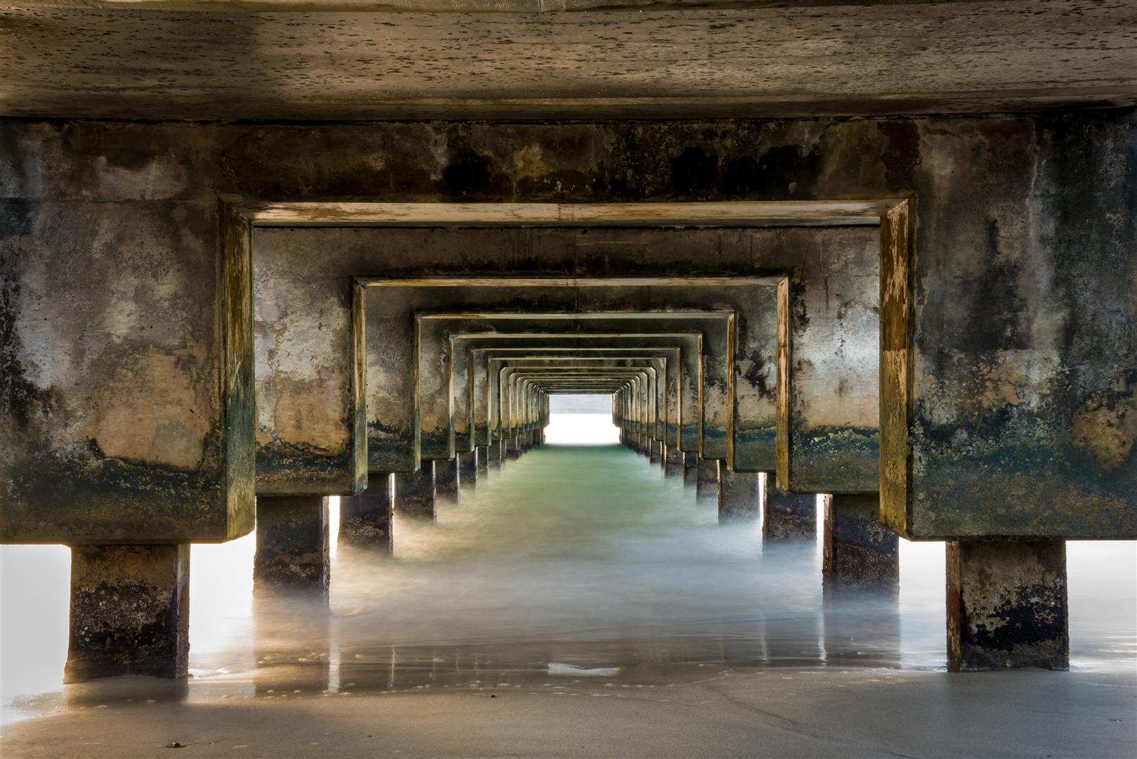 Shutter Stock