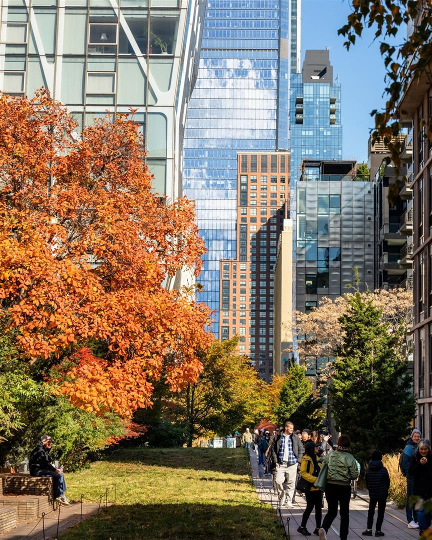 The High Line