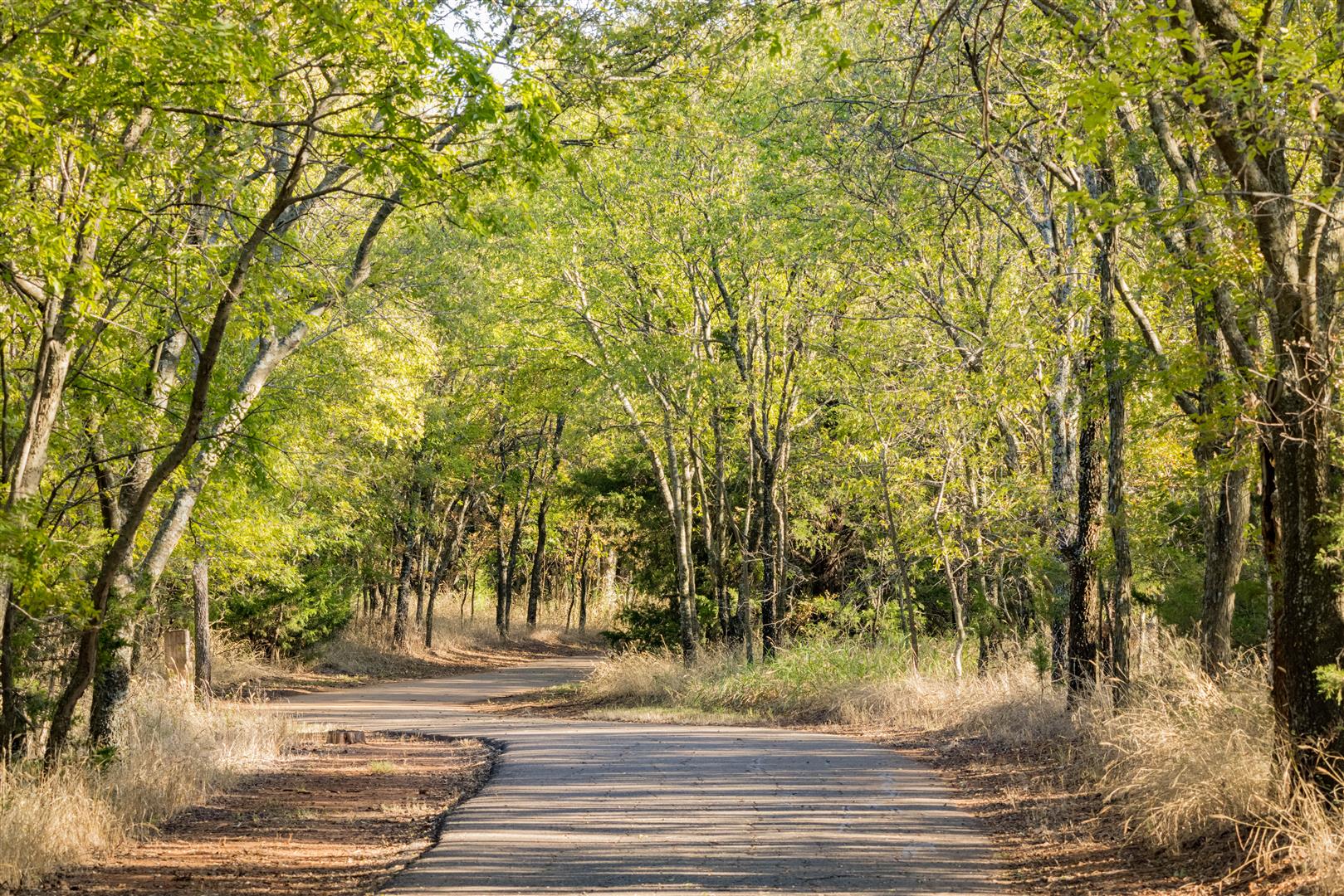 Shutter Stock