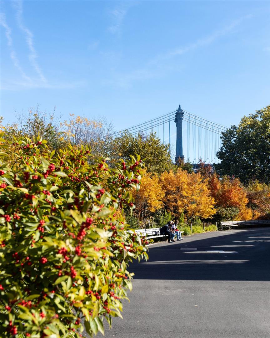 Brooklyn Bridge Park