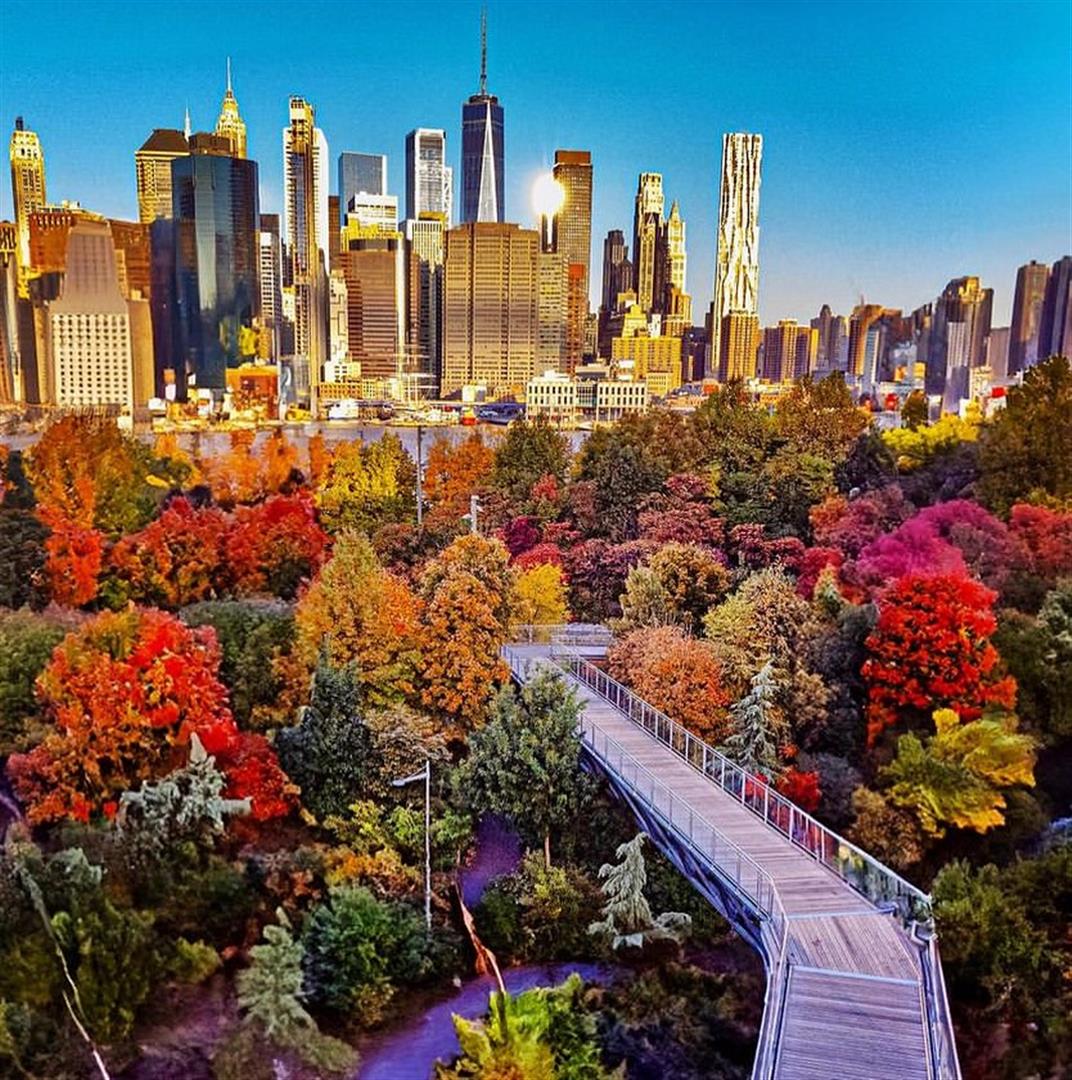 Brooklyn Bridge Park