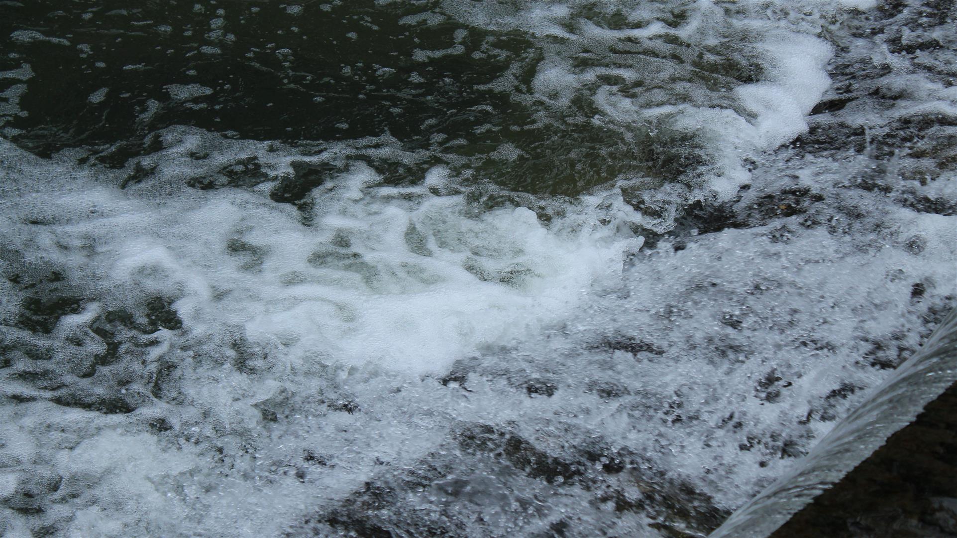 Shutter Stock