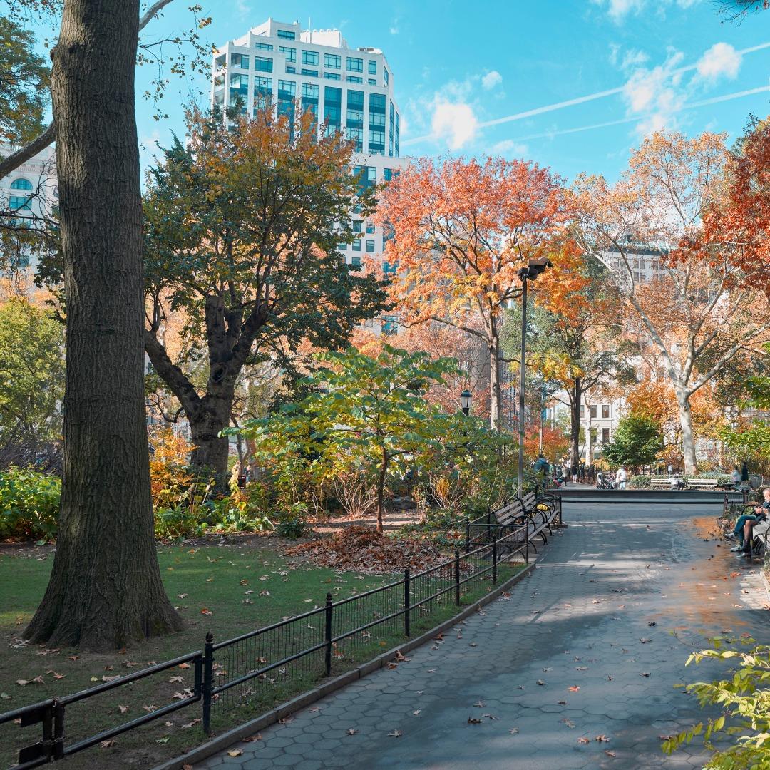 Madison Square Park