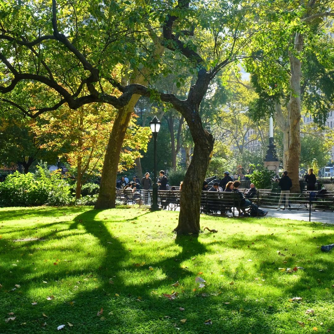 Madison Square Park
