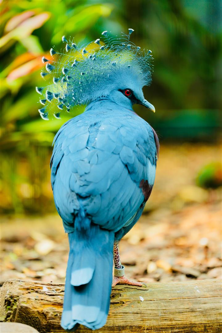 Shutter Stock