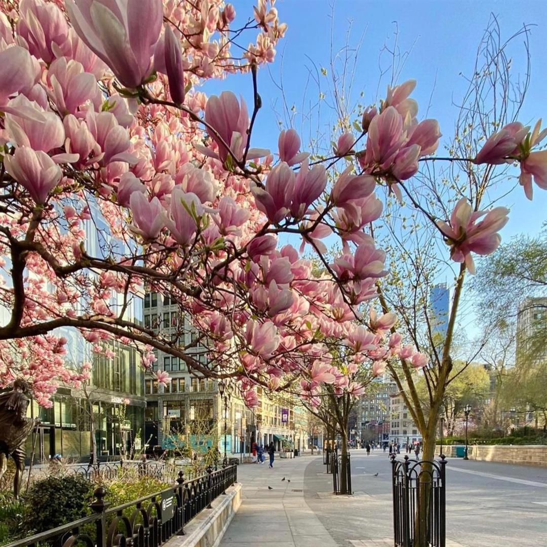 Union Square Park