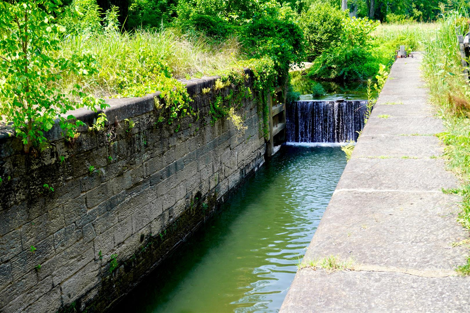Shutter Stock