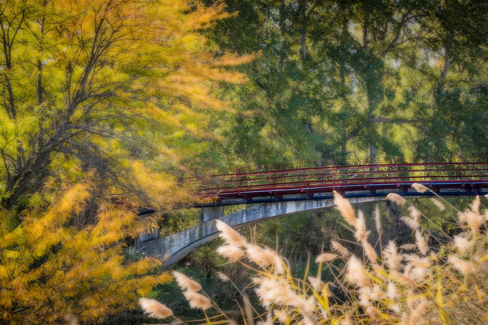Shutter Stock