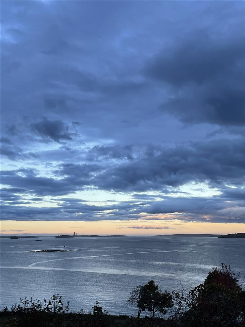 Shutter Stock