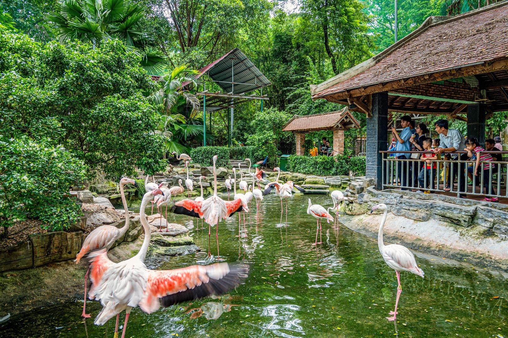 Saigon Zoo and Botanical Garden