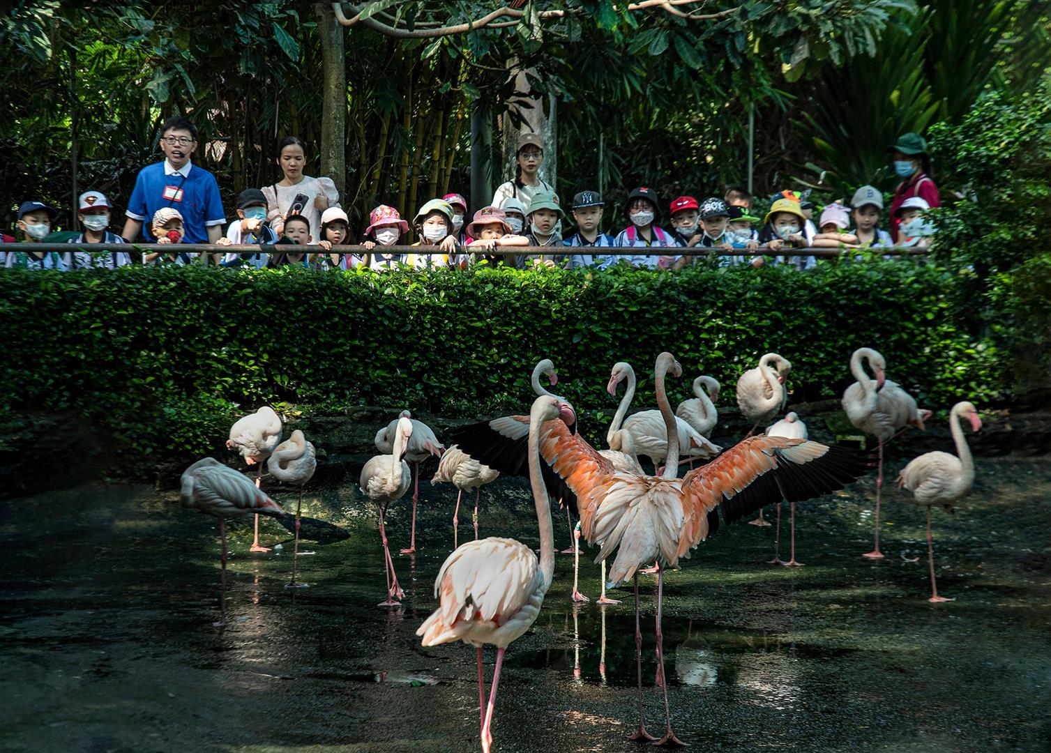 Saigon Zoo and Botanical Garden