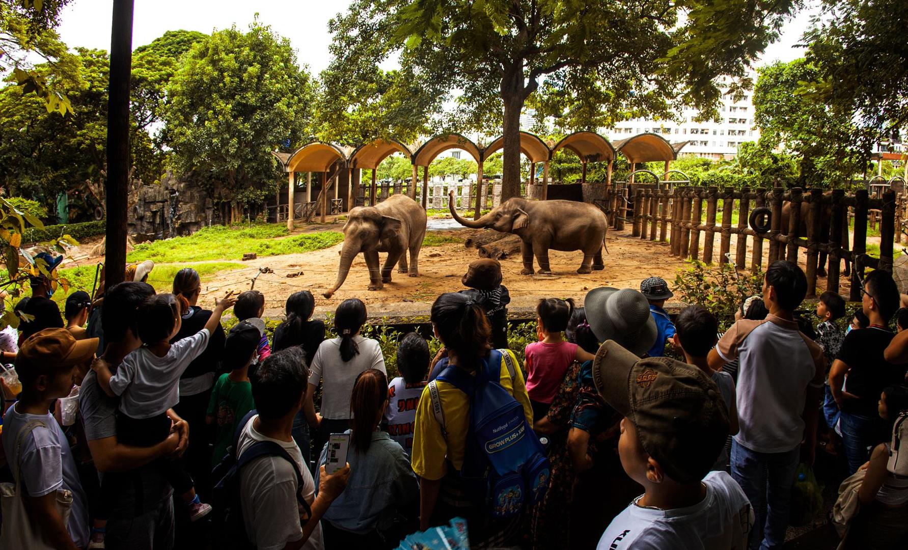 Saigon Zoo and Botanical Garden