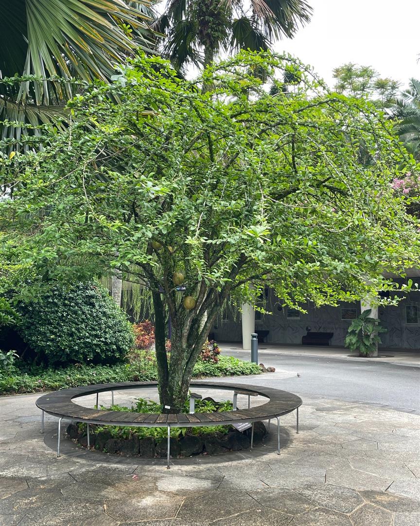 Gardens by the Bay