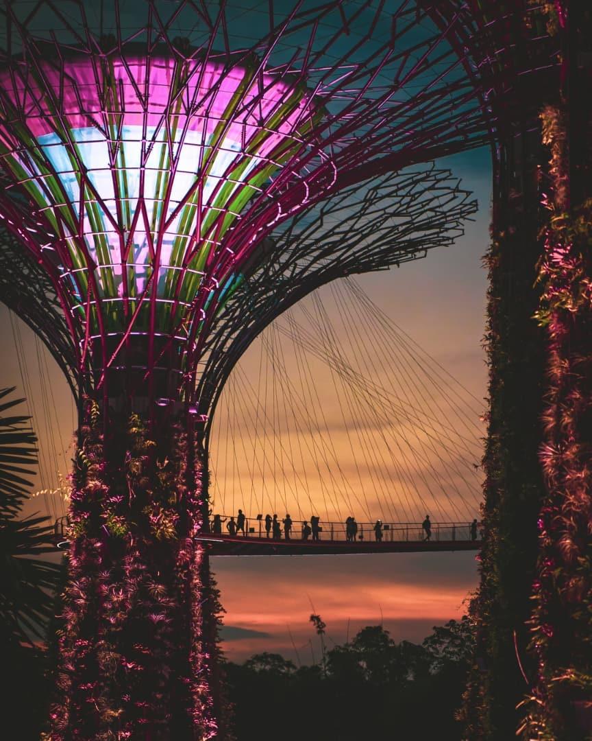 Gardens by the Bay