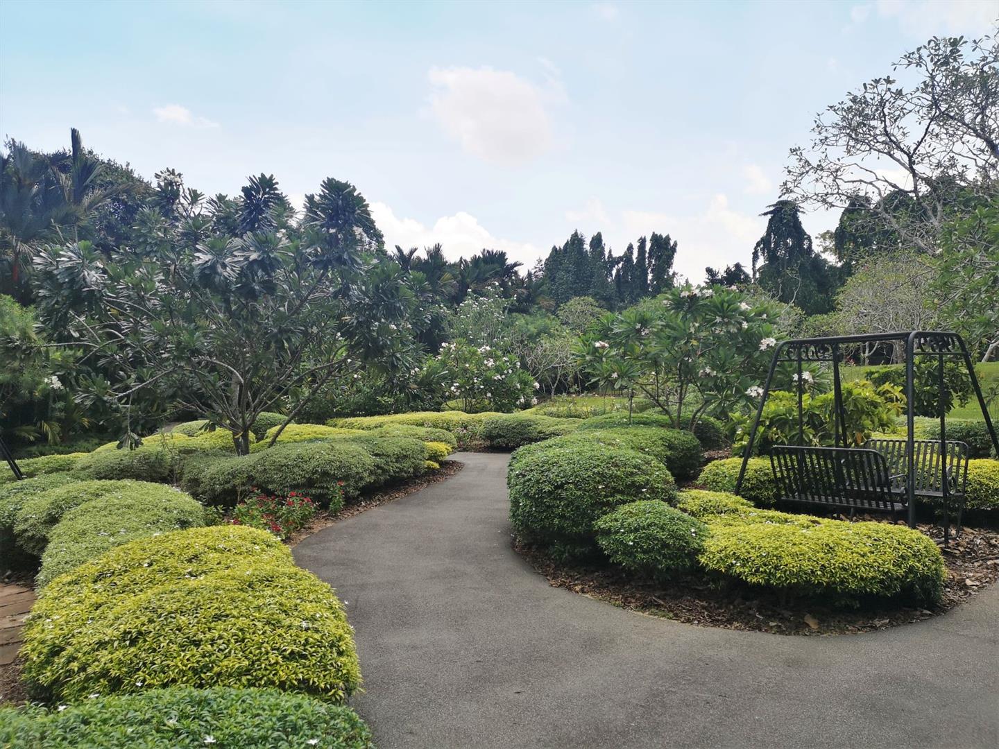 Singapore Botanic Gardens