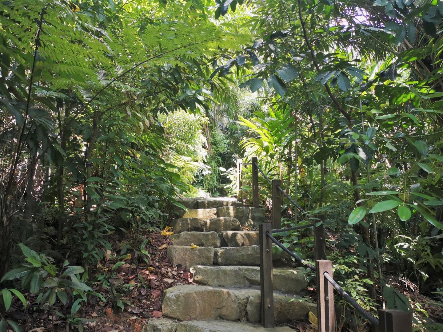 Singapore Botanic Gardens