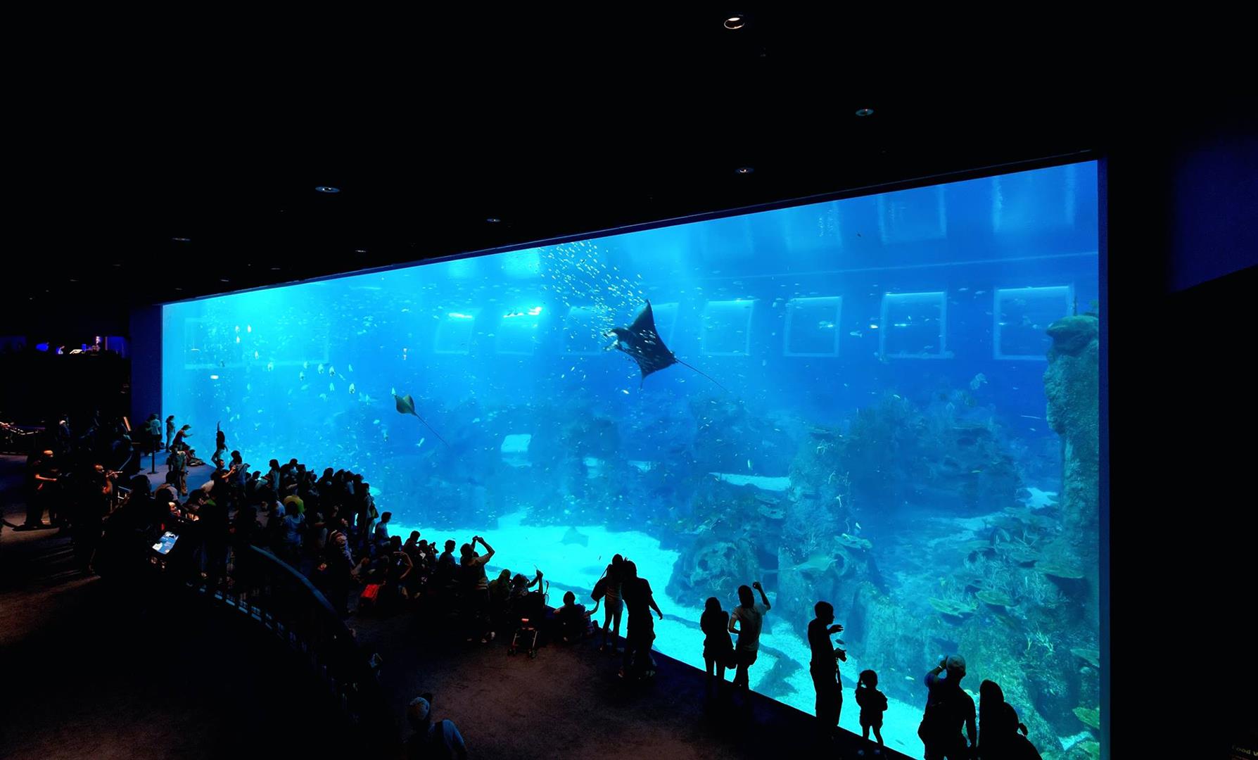 S.E.A. Aquarium