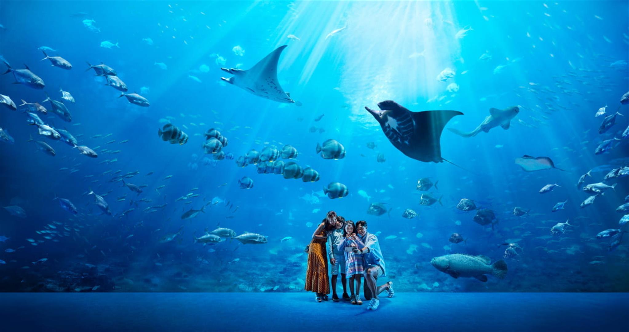 S.E.A. Aquarium